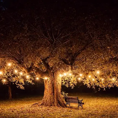 Oland Apartamento Tating