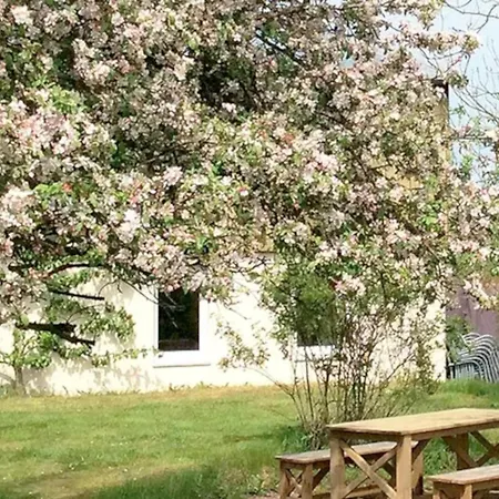 Oland Apartman Tating