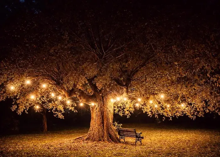 Oland Apartamento Tating